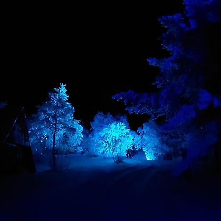 Muotkan Ruoktu Tunturikyla Inari Bagian luar foto