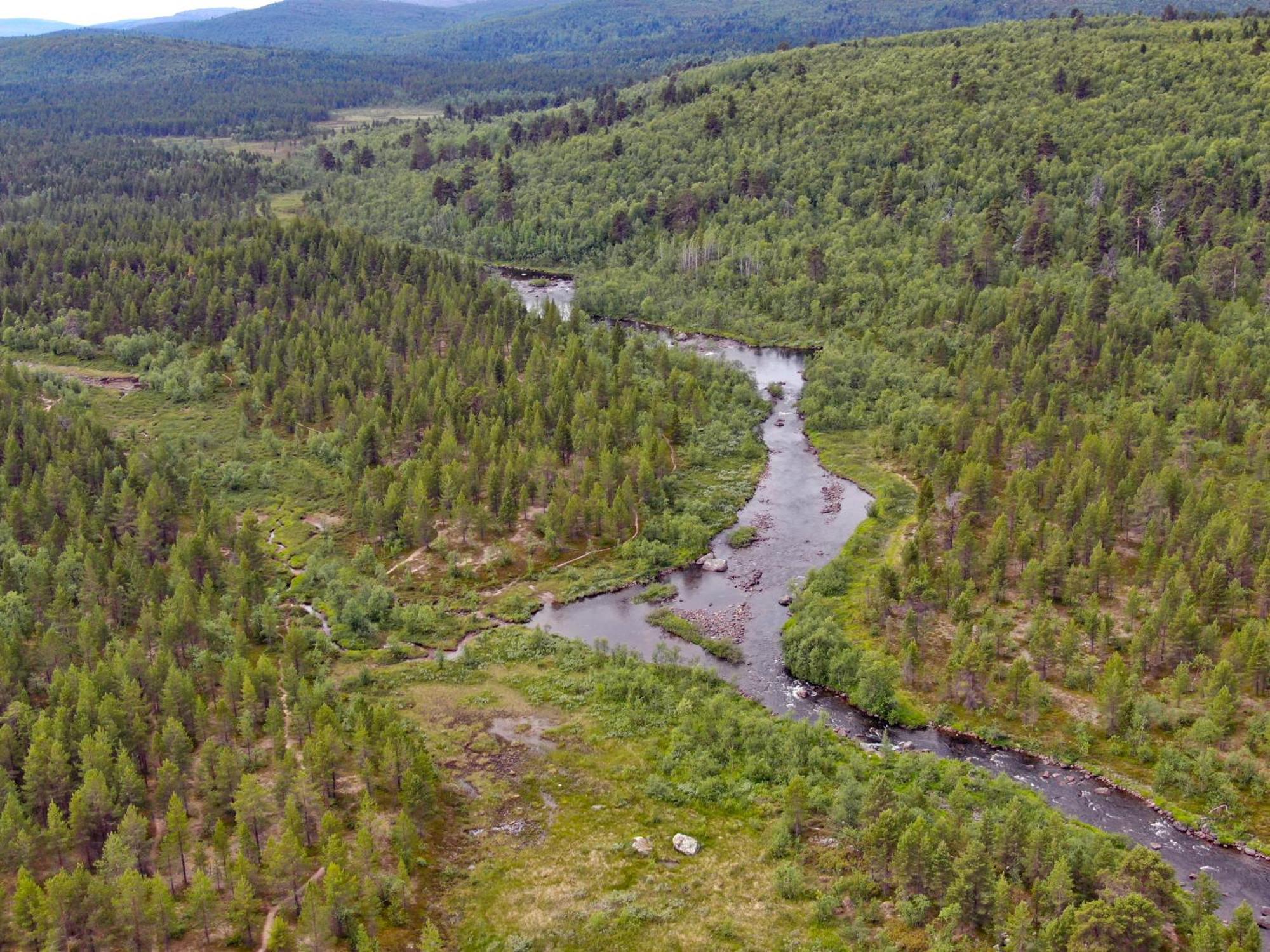 Muotkan Ruoktu Tunturikyla Inari Bagian luar foto