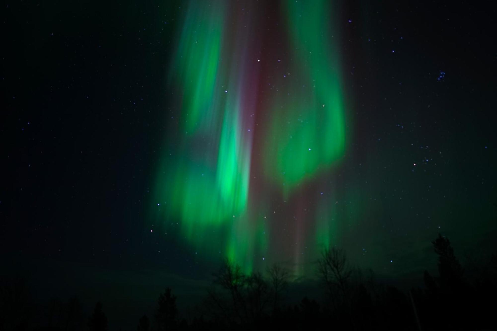 Muotkan Ruoktu Tunturikyla Inari Bagian luar foto