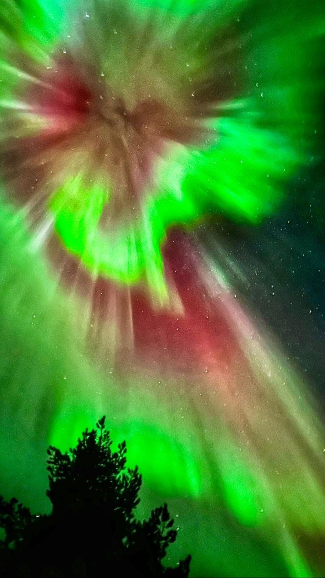 Muotkan Ruoktu Tunturikyla Inari Bagian luar foto