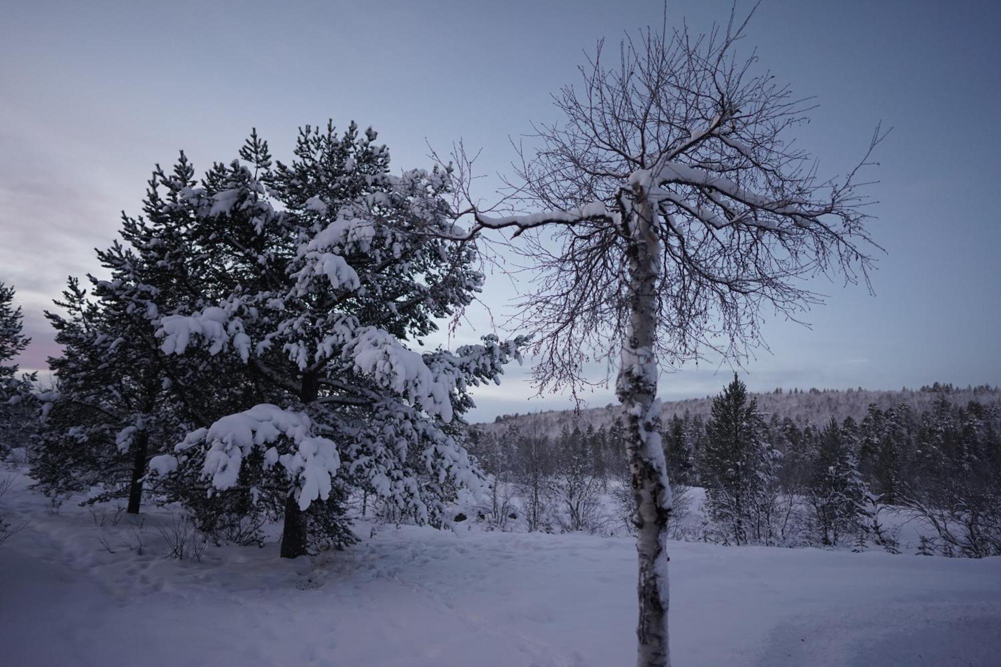Muotkan Ruoktu Tunturikyla Inari Bagian luar foto
